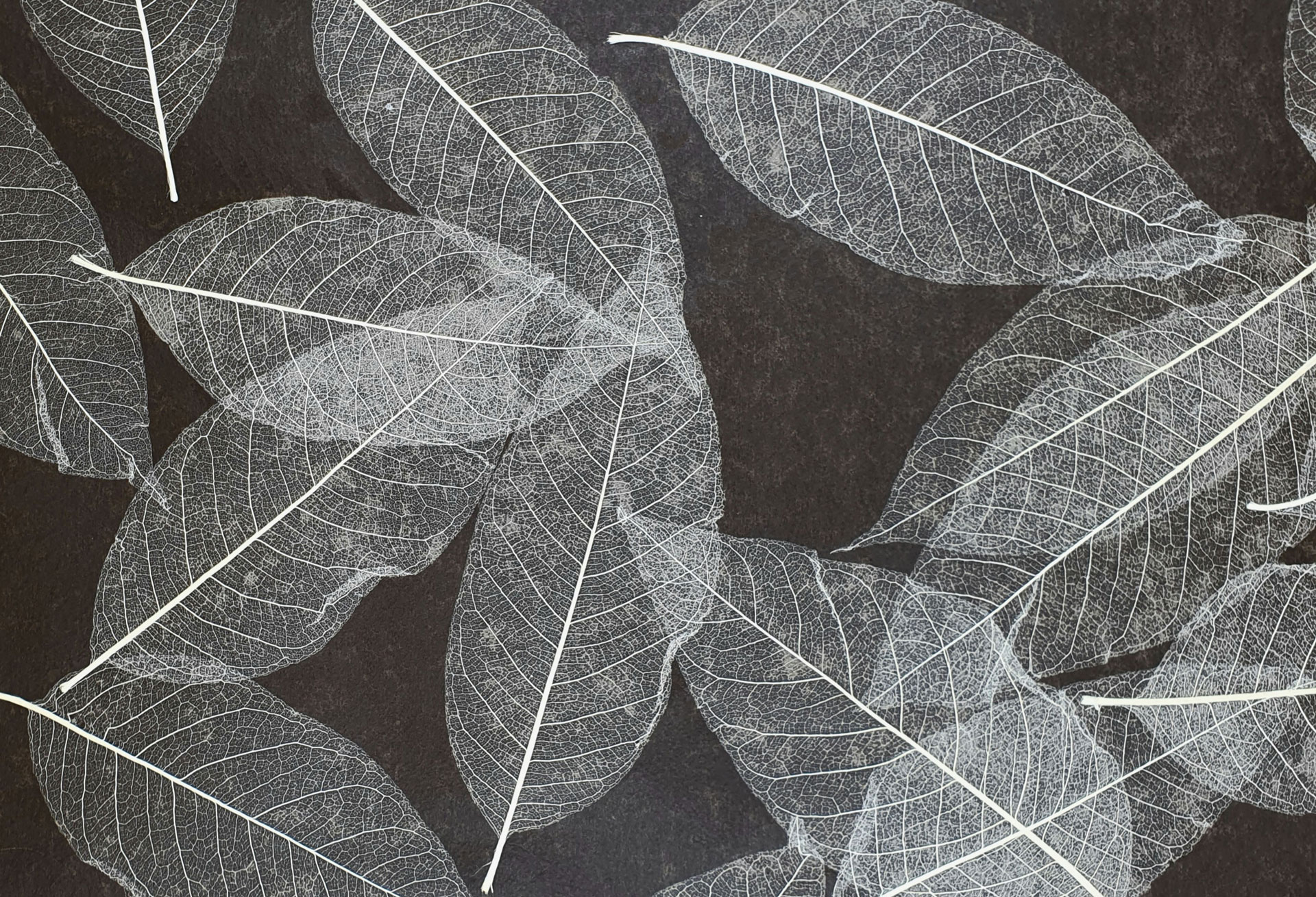 SKELETON LEAVES medium - on brown flexi