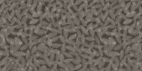 SKELETTBLATTLA-MEDIUM-FLX_Textur_Vorschau.jpg